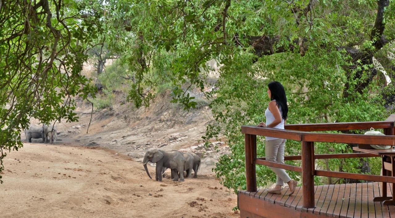 Hamiltons Tented Camp Mluwati Concession Exteriör bild