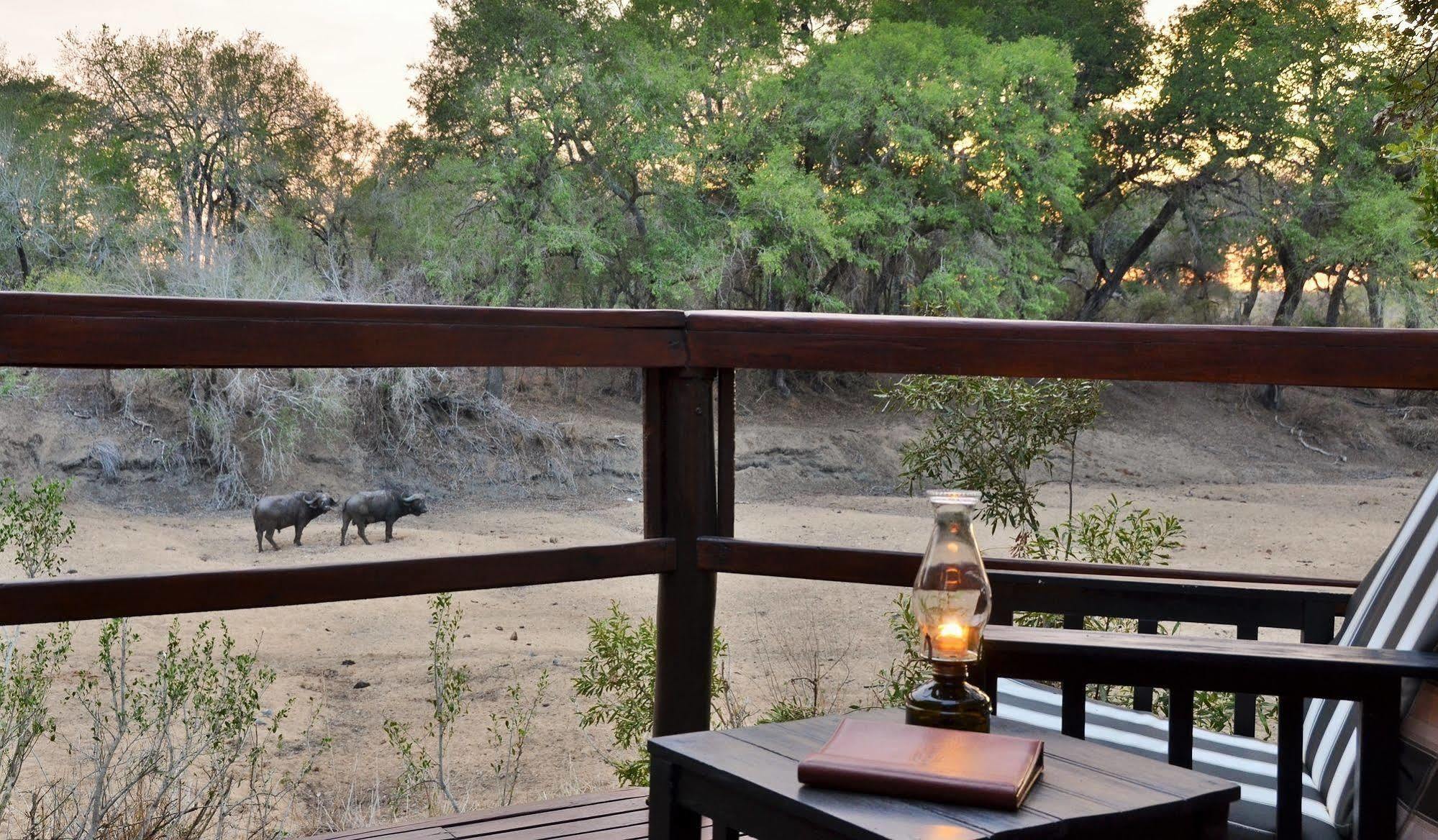 Hamiltons Tented Camp Mluwati Concession Exteriör bild