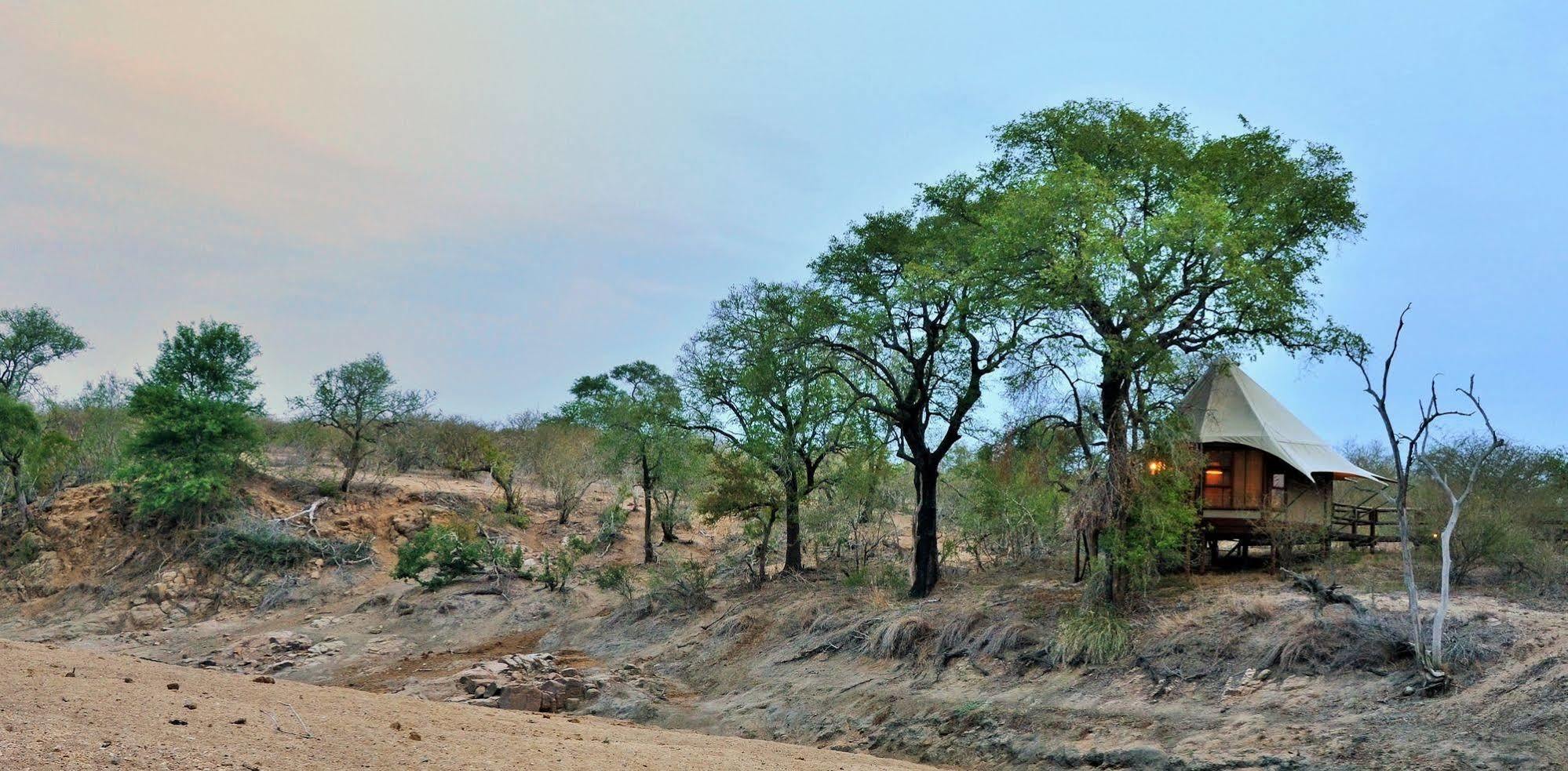 Hamiltons Tented Camp Mluwati Concession Exteriör bild